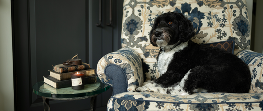 Autumn Is Here! Do You Have Your Candles Ready?
