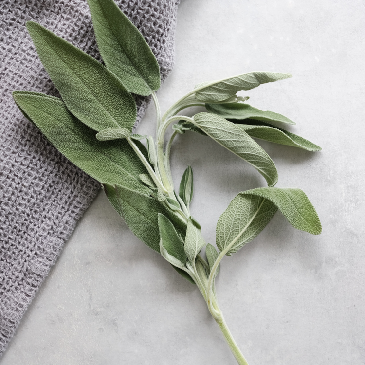 Sage