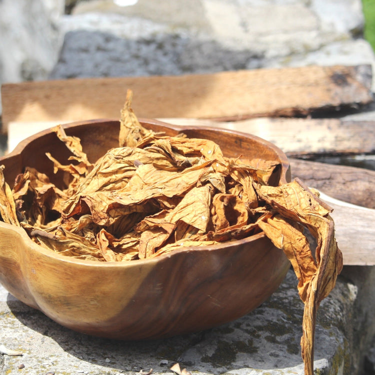 Wooden bowl containing dried tobacco leaves.