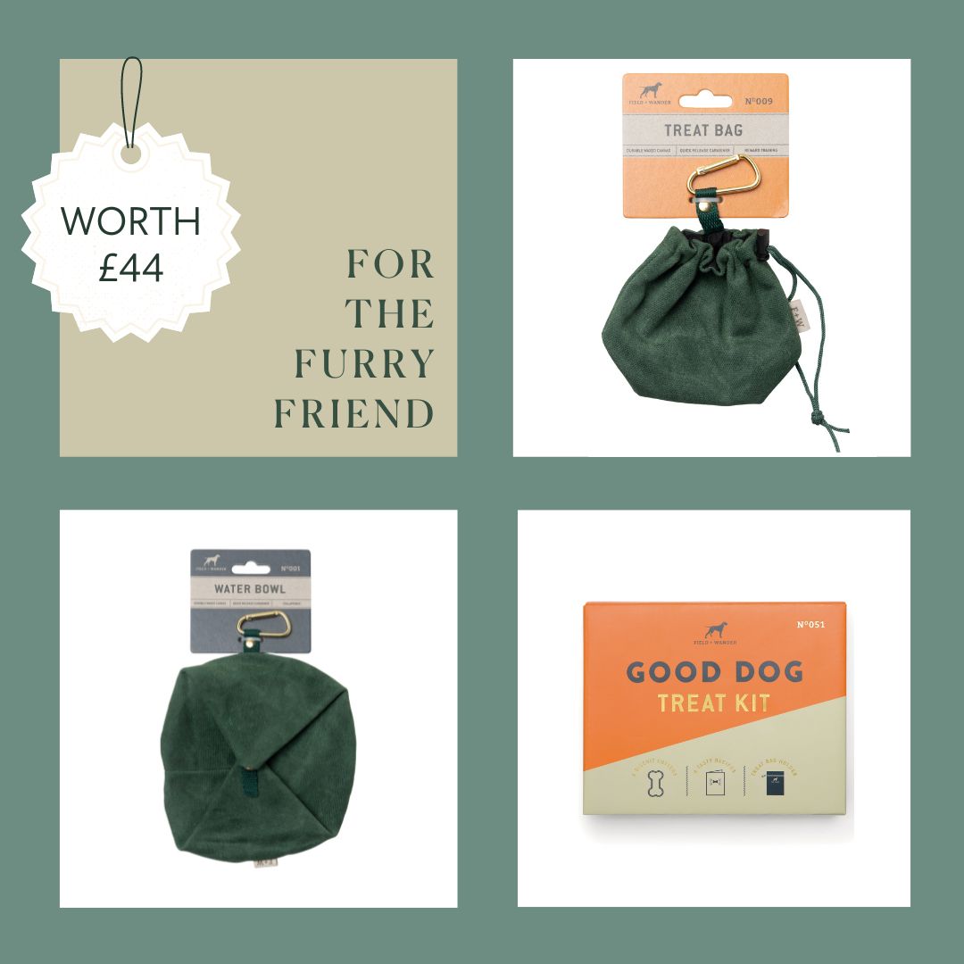 For the Furry Friend