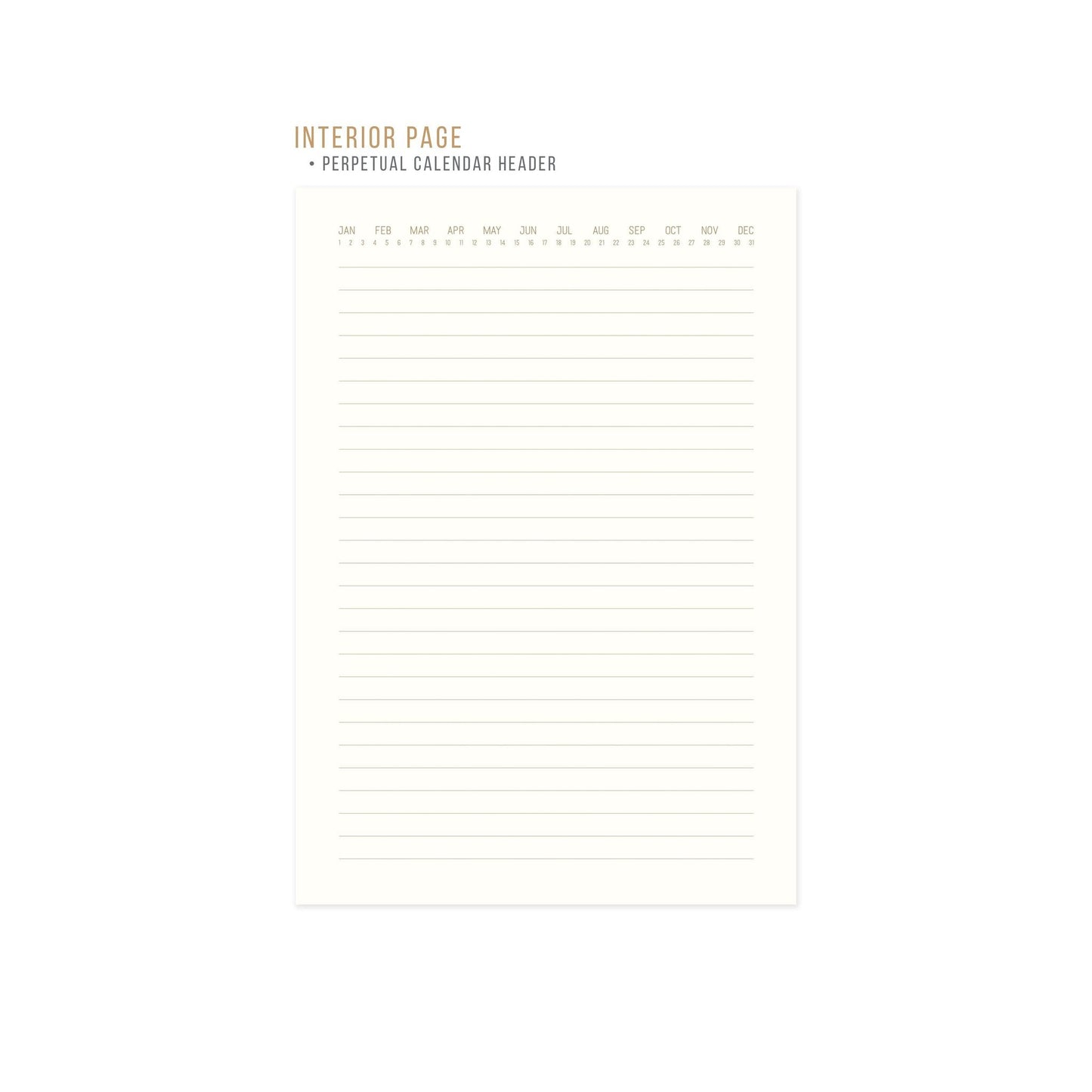 Suede Journal Radiant Rays - Bright Terracotta