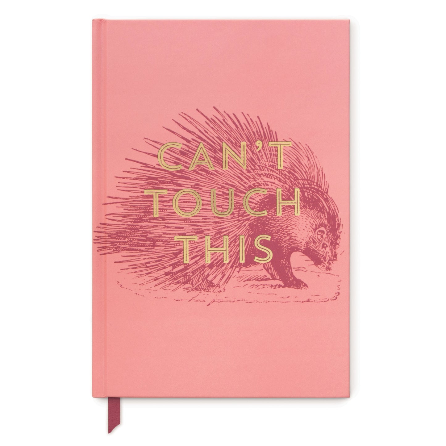 Cant Touch This Journal