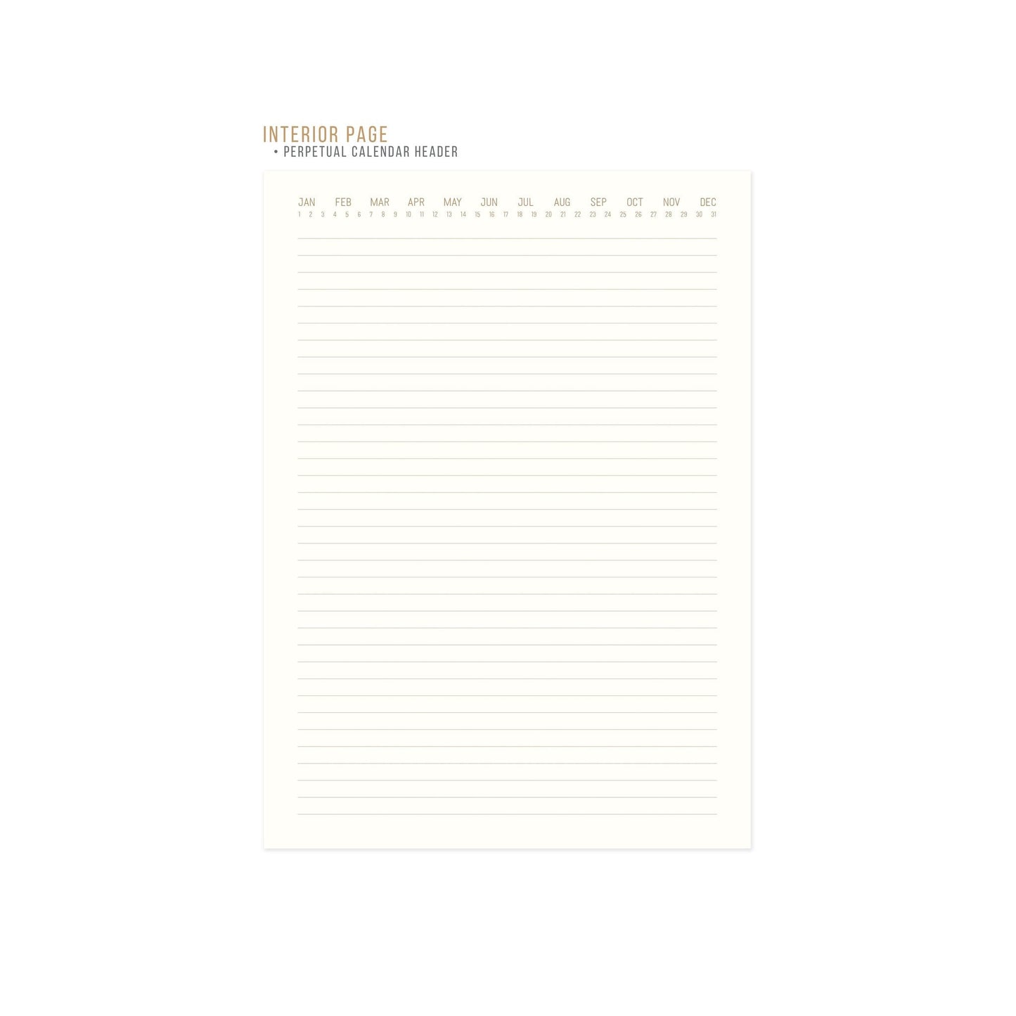 Standard Issue No. 80 Large Notebook - Ochre
