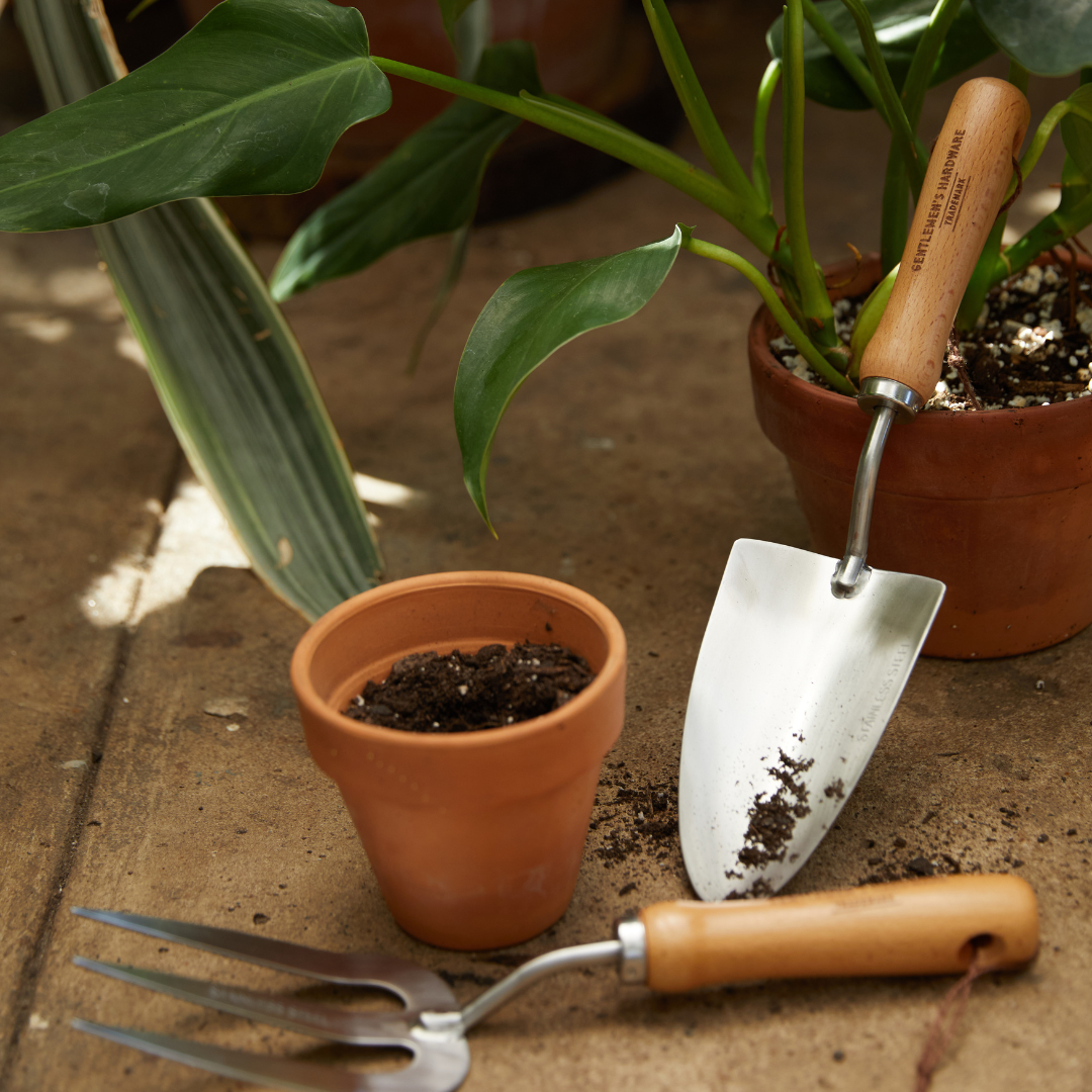 FOR THE GREEN FINGERED DADS