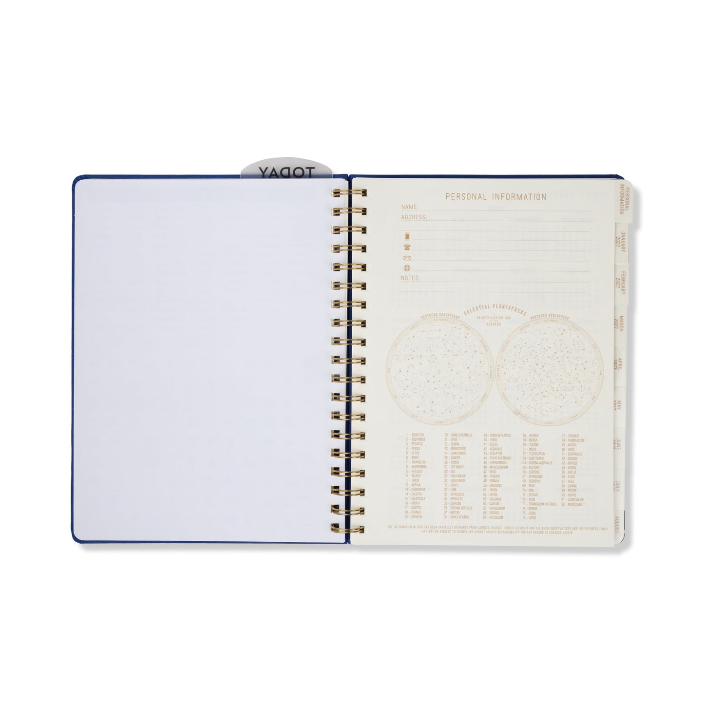Designworks Ink Eyes 2027 Weekly Diary