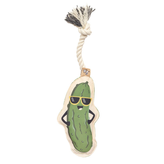 Speckle & Spot Pet Rope Toy - Pickle