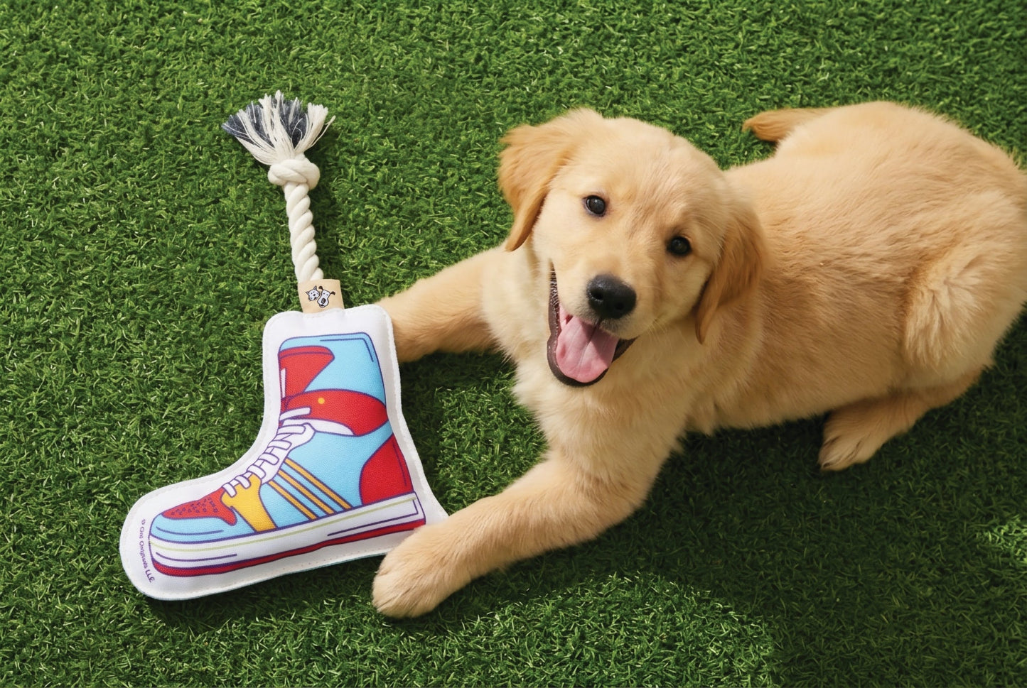Speckle & Spot Pet Rope Toy - High Top Sneaker