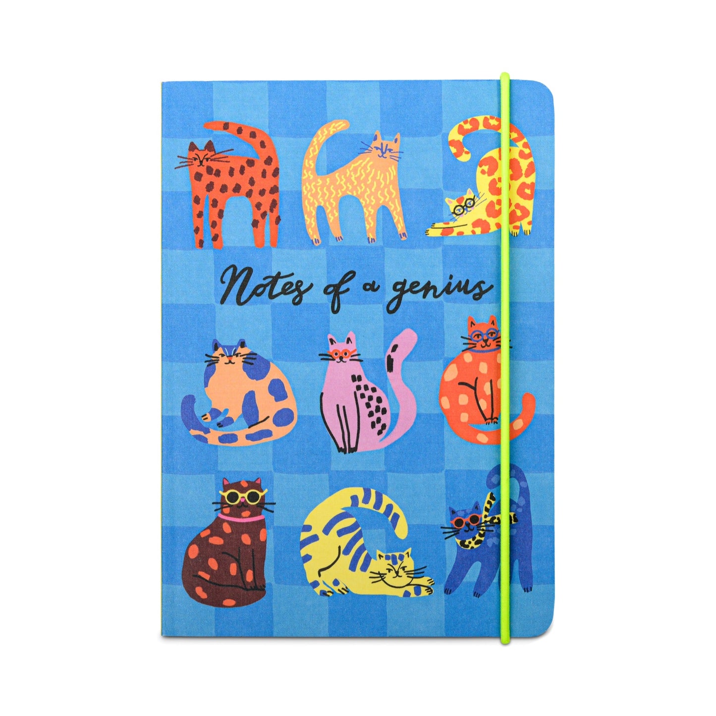 Hijinx Notebook - Notes of a Genius