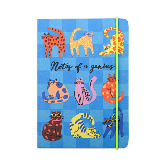 Hijinx Notebook - Notes of a Genius