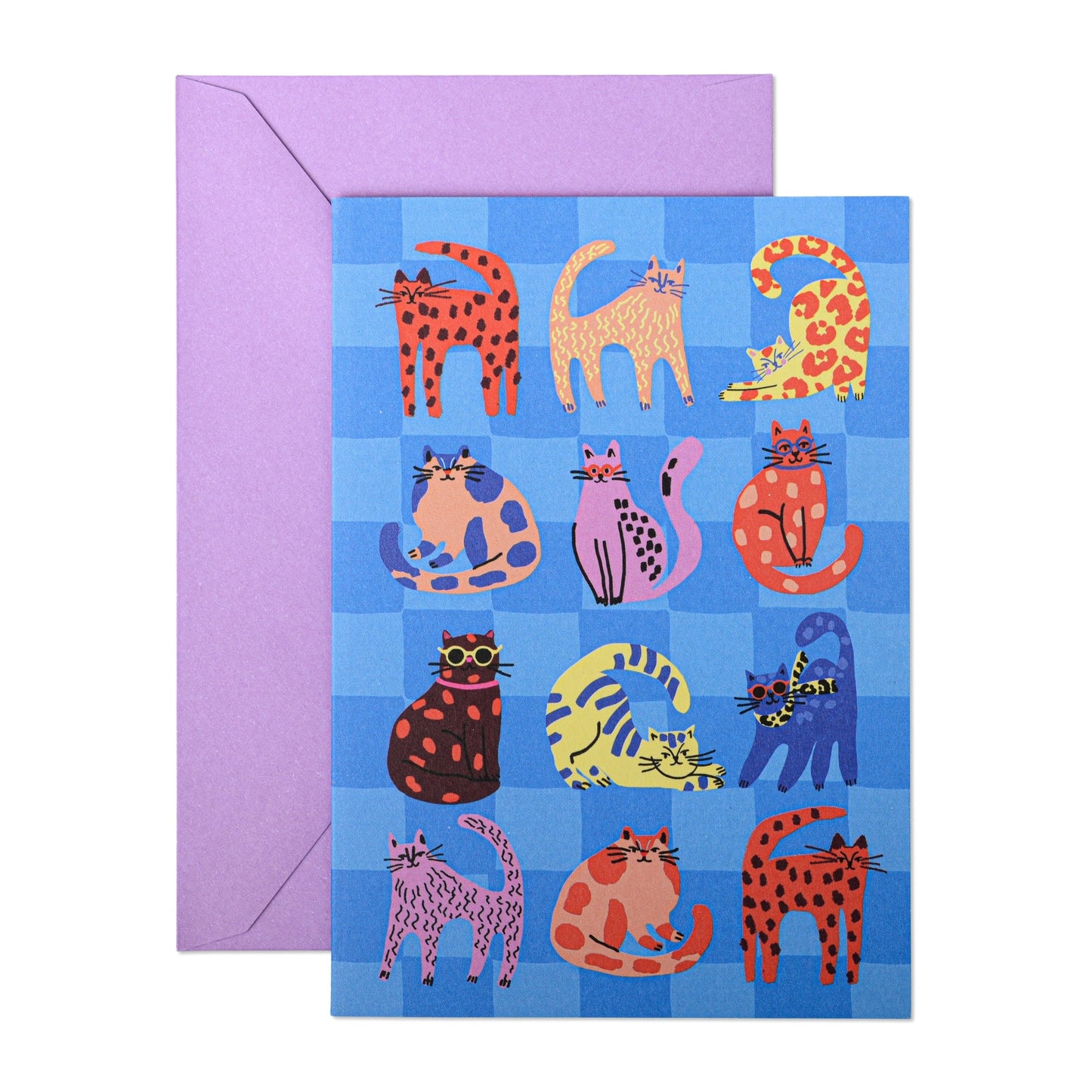 Hijinx Notecards (Set of 8) Cats & Dogs