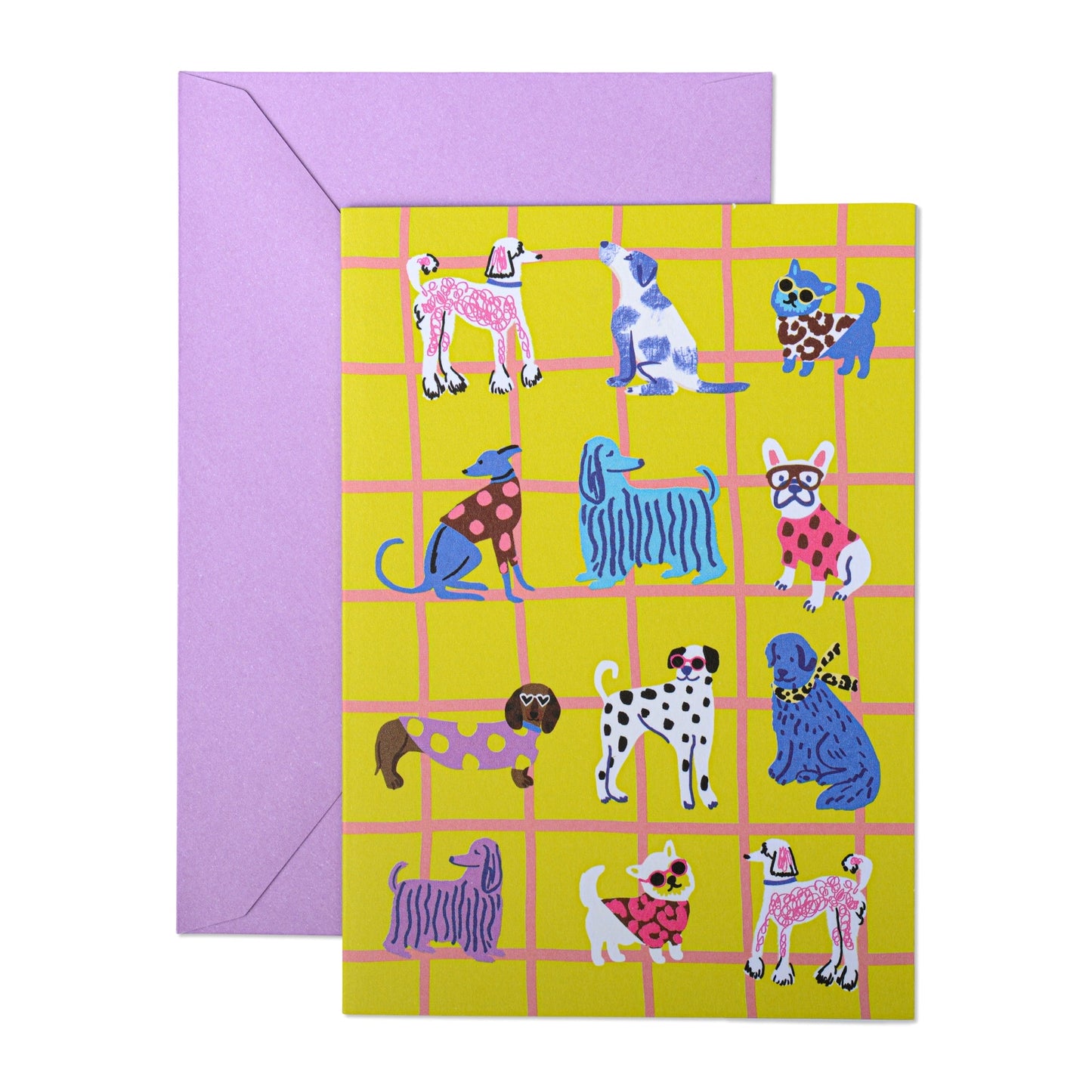 Hijinx Notecards (Set of 8) Cats & Dogs
