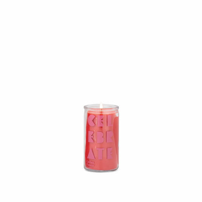 Spark Candle - Celebrate - Cactus Flower (141g)